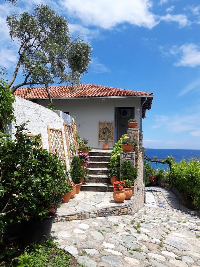 Apartment Ammos Papanero Agios Ioannis (Thessaly)