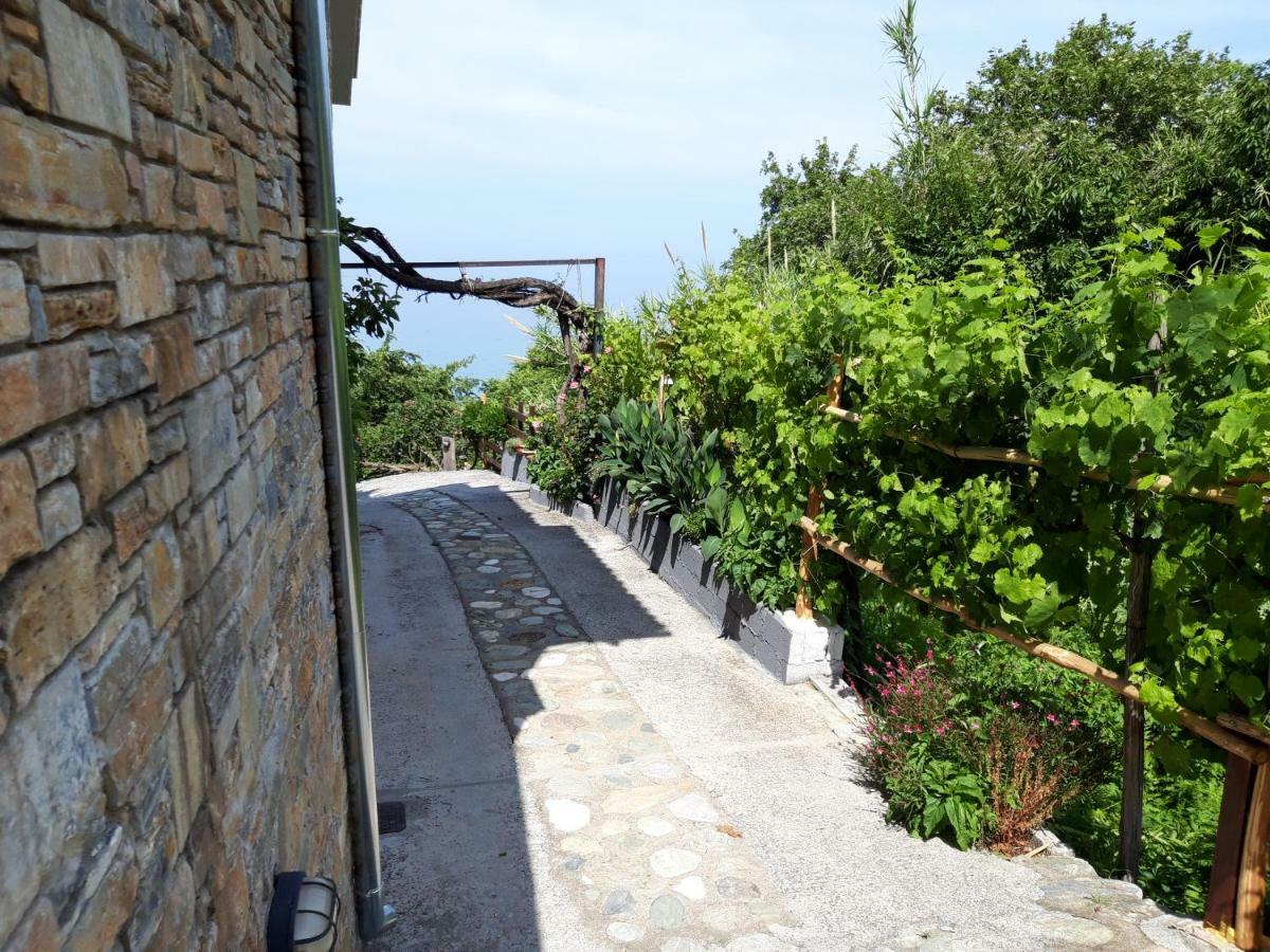 Ammos Papanero Agios Ioannis (Thessaly)